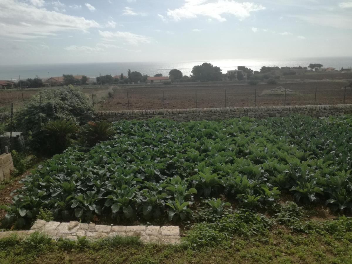 Villa Bove Marina di Ragusa Buitenkant foto